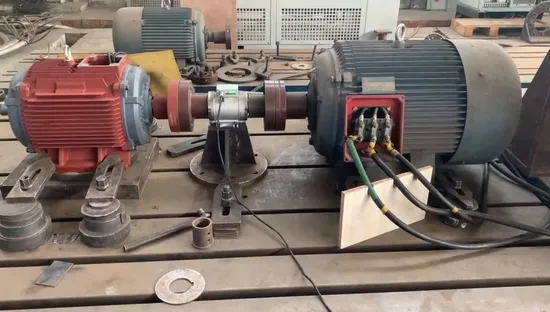 25kw 500rpm AC220V Hydro Generator Pmg Permanent Magnet Generator with Inverter