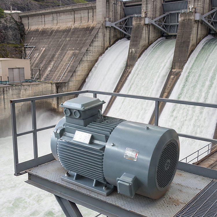 50kw 250rpm AC380V Permanent Magnet Generator for Wind Generator or Hydraulic /Water Generator