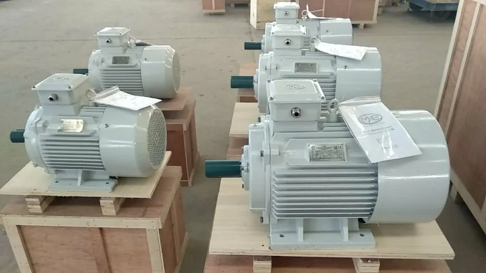 10kw 20kw 30kw Hydro Generator Eco-Friendly Generator Pmg Asynchronous Generator